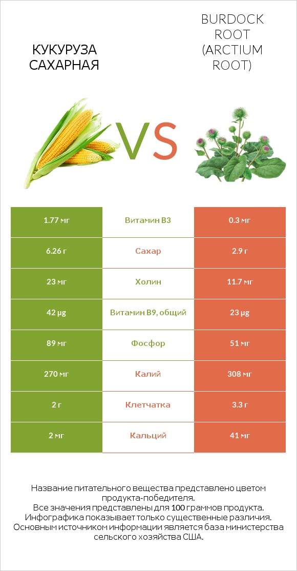 Кукуруза сахарная vs Burdock root infographic