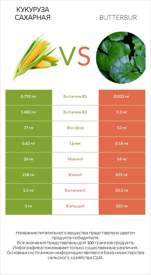 Кукуруза сахарная vs Butterbur infographic