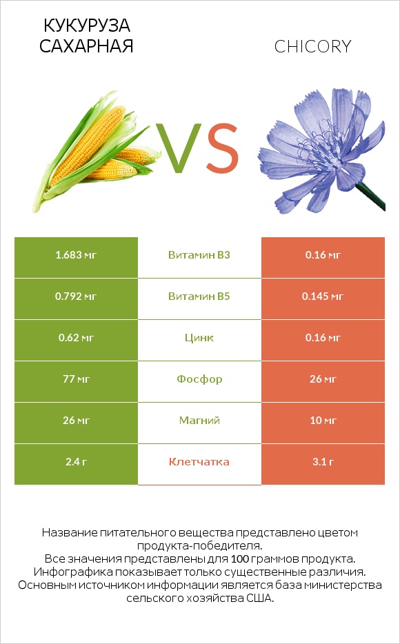 Кукуруза сахарная vs Chicory infographic