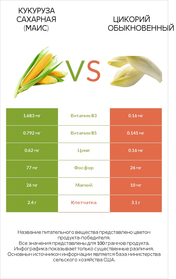 Кукуруза сахарная (маис) vs Цикорий обыкновенный infographic