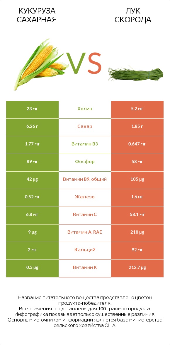 Кукуруза сахарная vs Лук скорода infographic