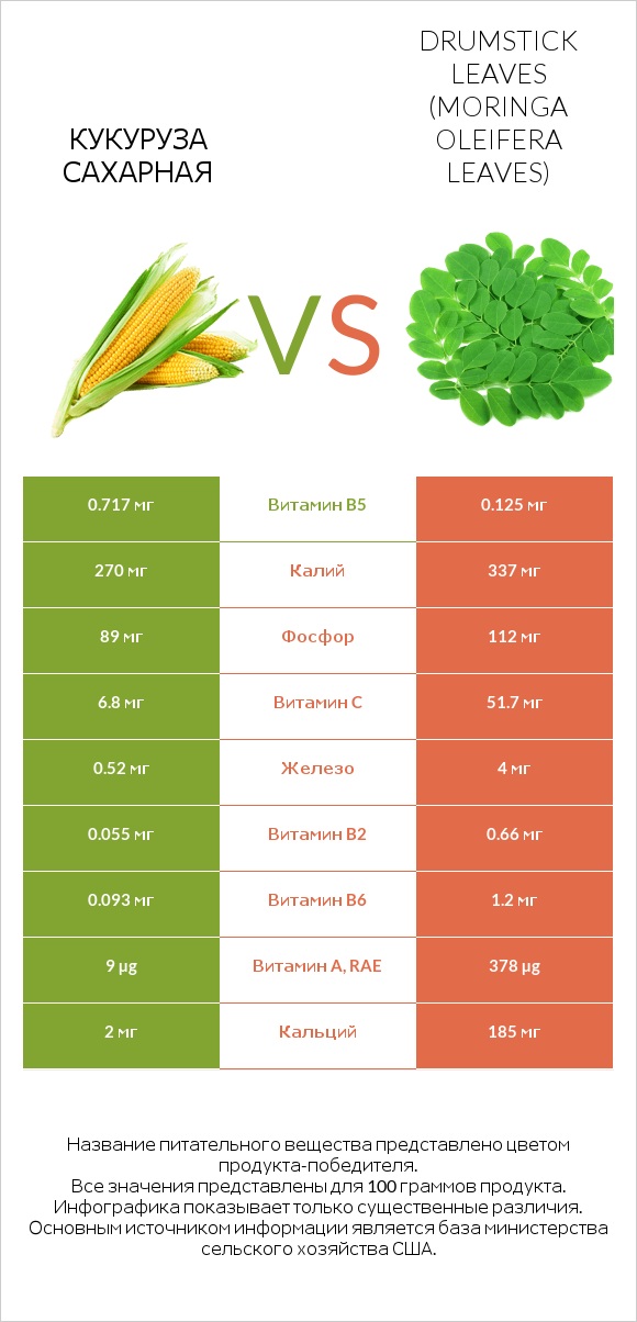 Кукуруза сахарная vs Drumstick leaves infographic