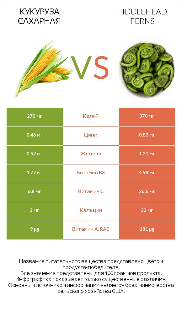 Кукуруза сахарная vs Fiddlehead ferns infographic