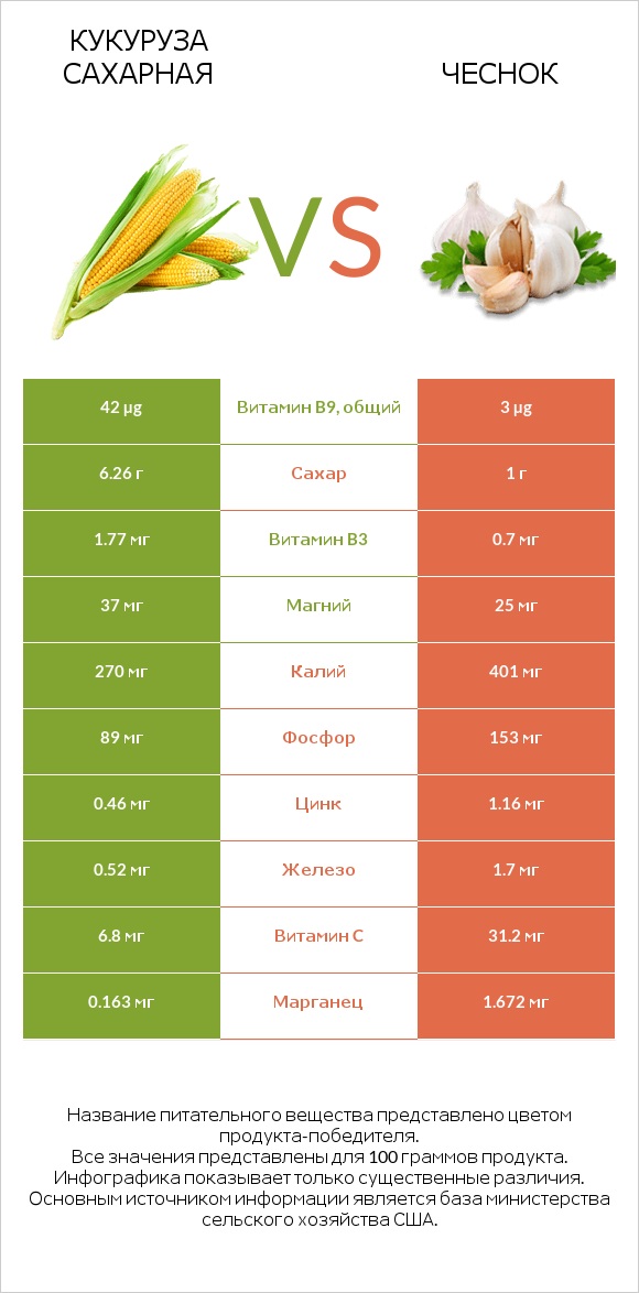 Кукуруза сахарная vs Чеснок infographic