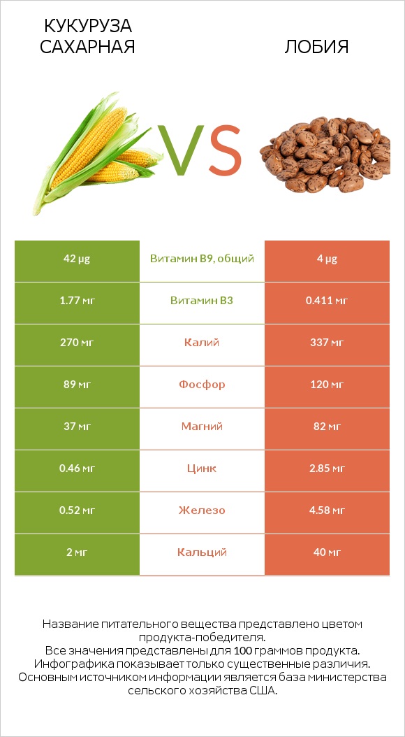 Кукуруза сахарная vs Лобия infographic