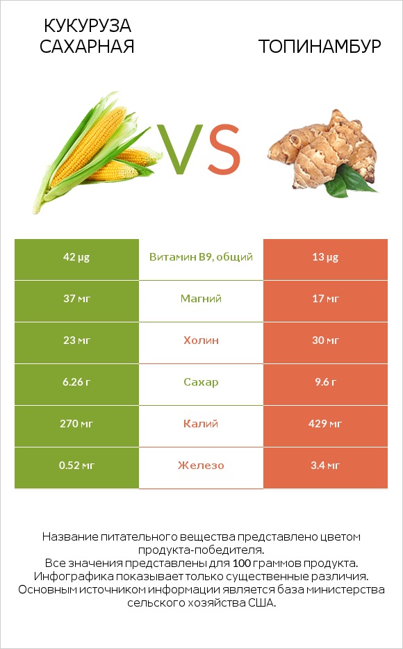 Кукуруза сахарная vs Топинамбур infographic