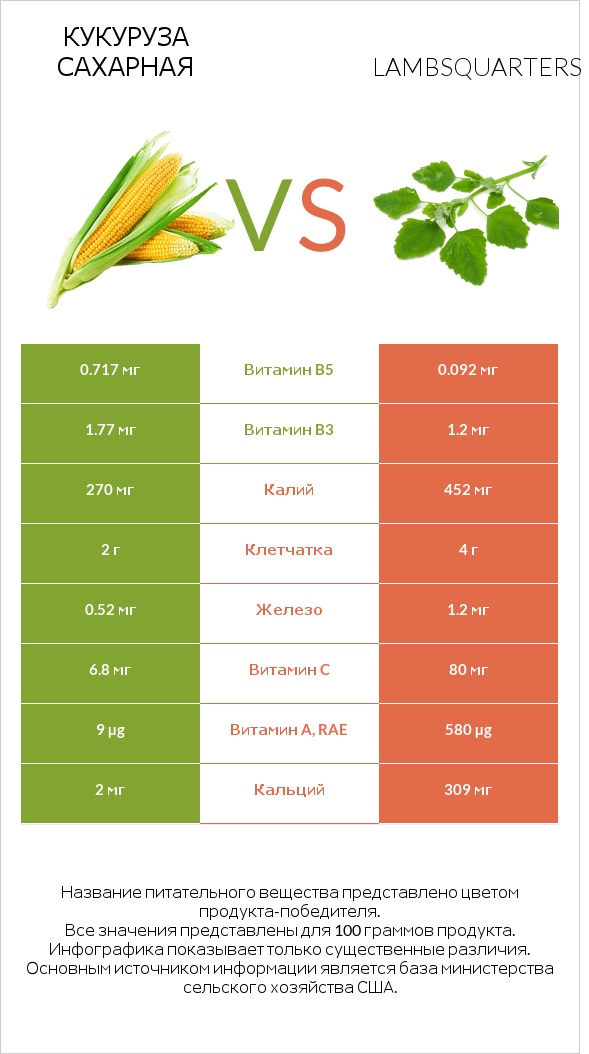 Кукуруза сахарная vs Lambsquarters infographic