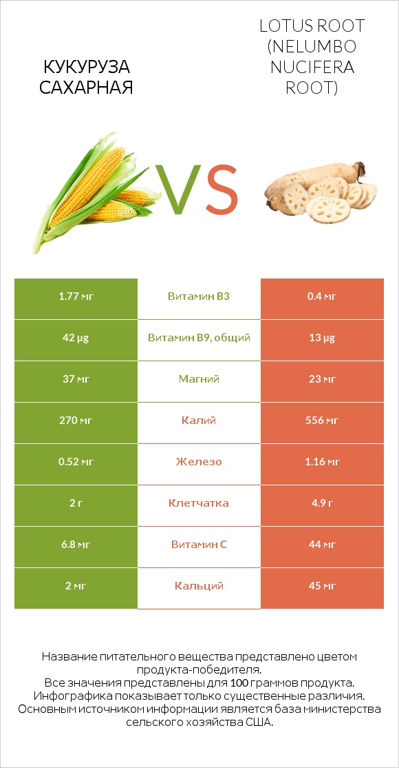 Кукуруза сахарная vs Lotus root infographic