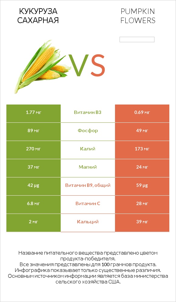 Кукуруза сахарная vs Pumpkin flowers infographic