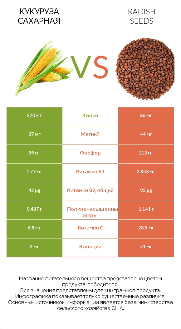 Кукуруза сахарная vs Radish seeds infographic