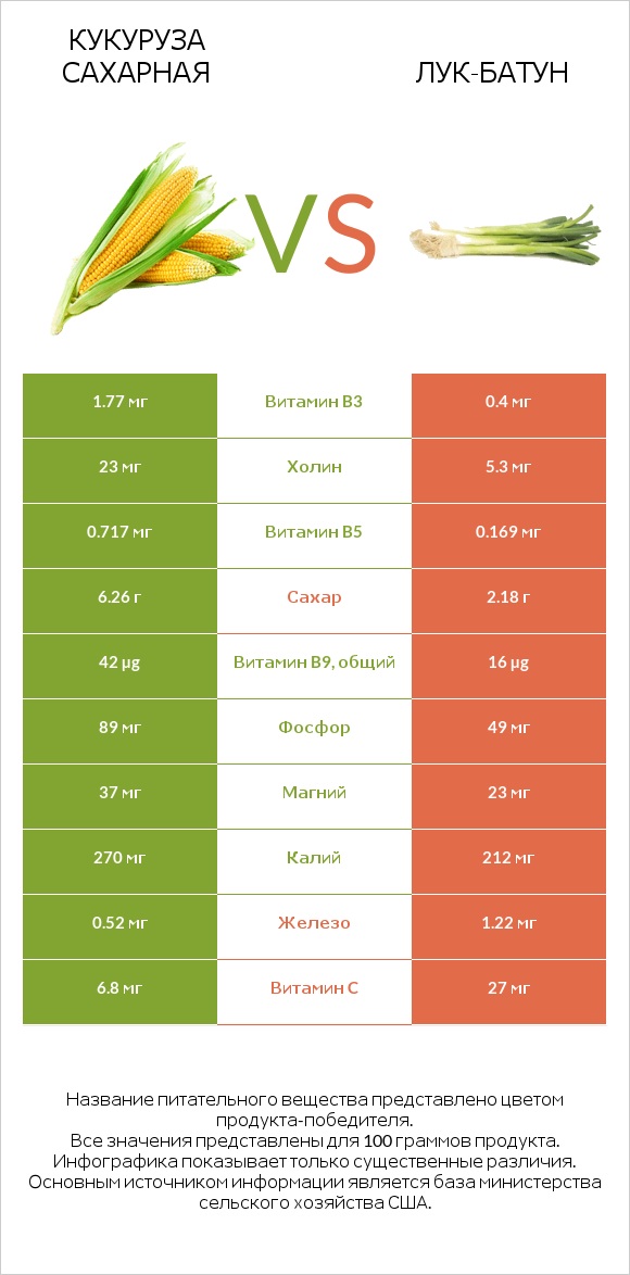 Кукуруза сахарная vs Лук-батун infographic
