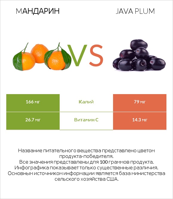 Mандарин vs Java plum infographic