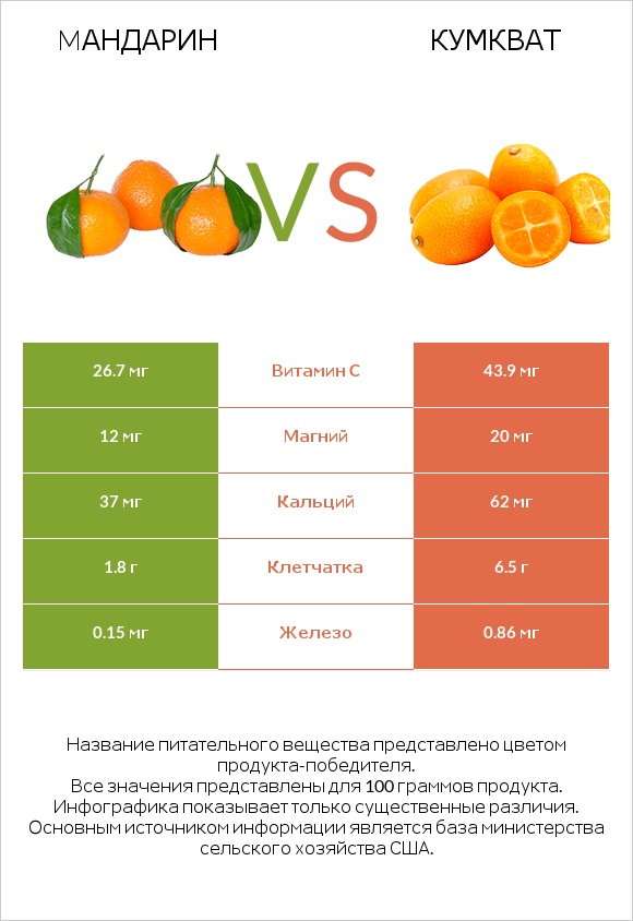 Mандарин vs Кумкват infographic