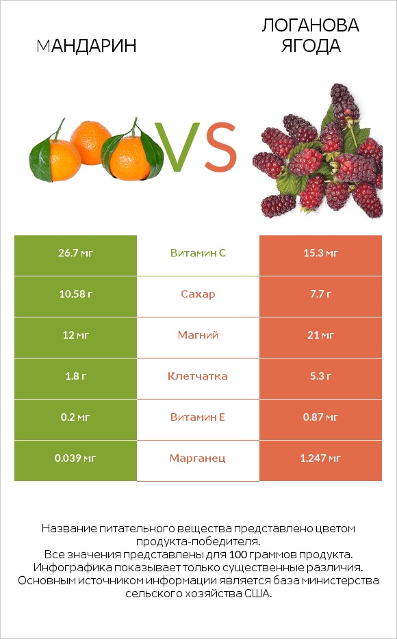 Mандарин vs Логанова ягода infographic