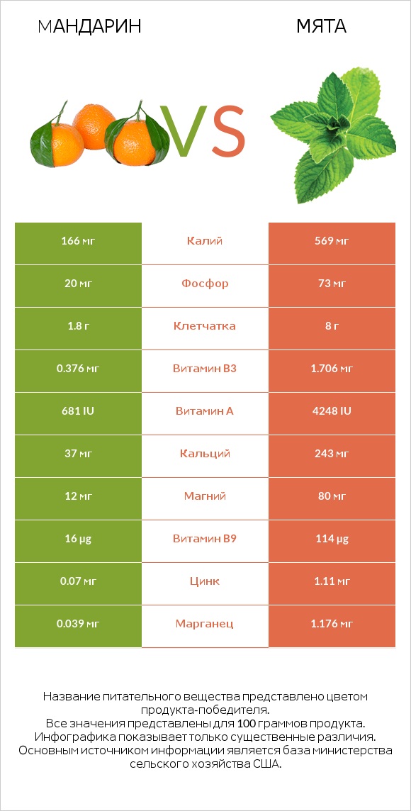 Mандарин vs Мята infographic