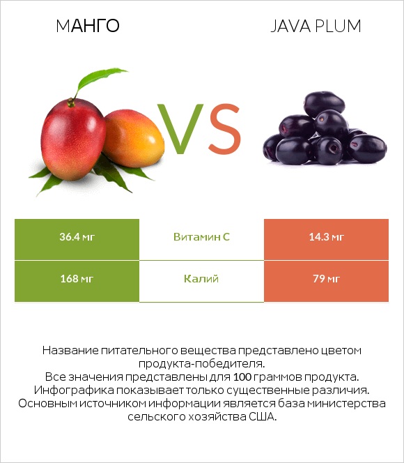 Mанго vs Java plum infographic