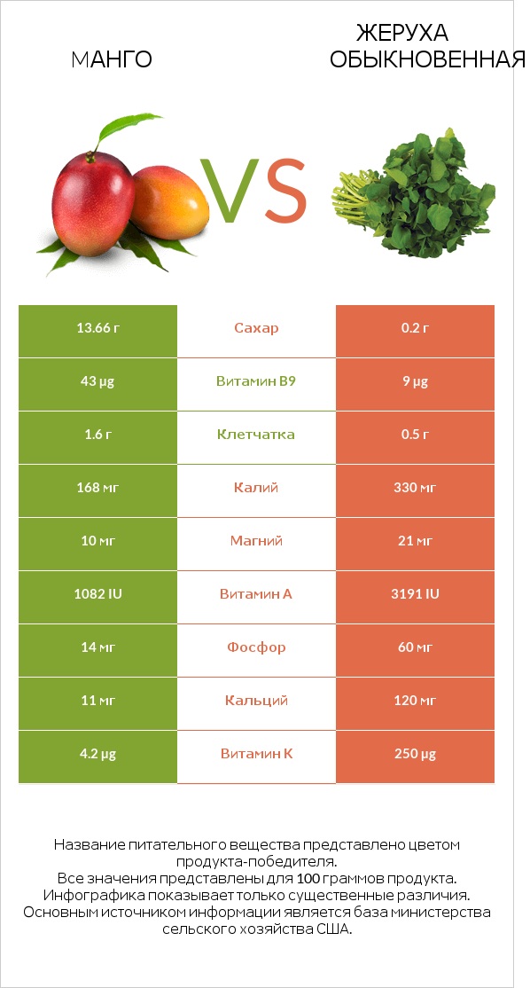 Mанго vs Жеруха обыкновенная infographic
