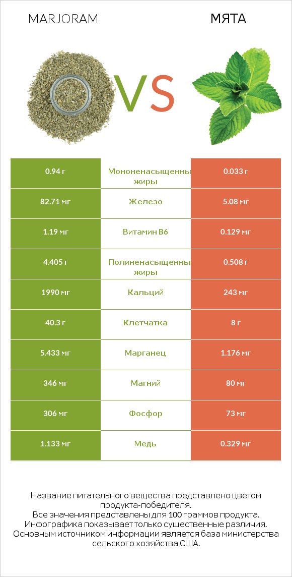 Marjoram vs Мята infographic