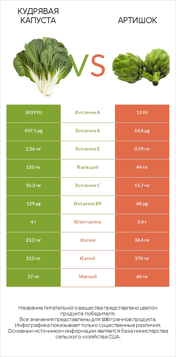 Кудрявая капуста vs Артишок infographic