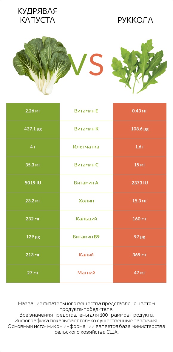 Кудрявая капуста vs Руккола infographic