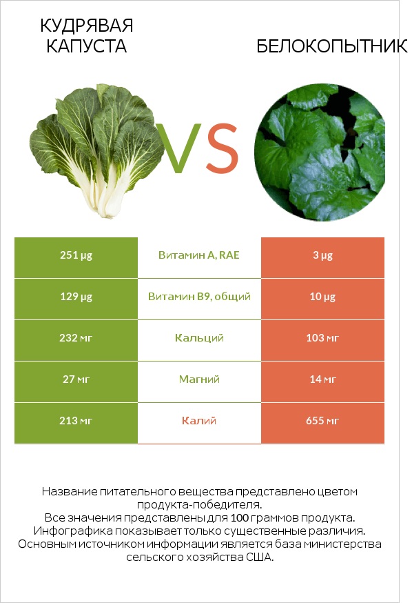 Кудрявая капуста vs Белокопытник infographic