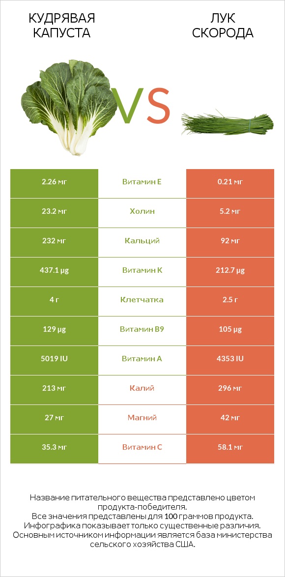 Кудрявая капуста vs Лук скорода infographic