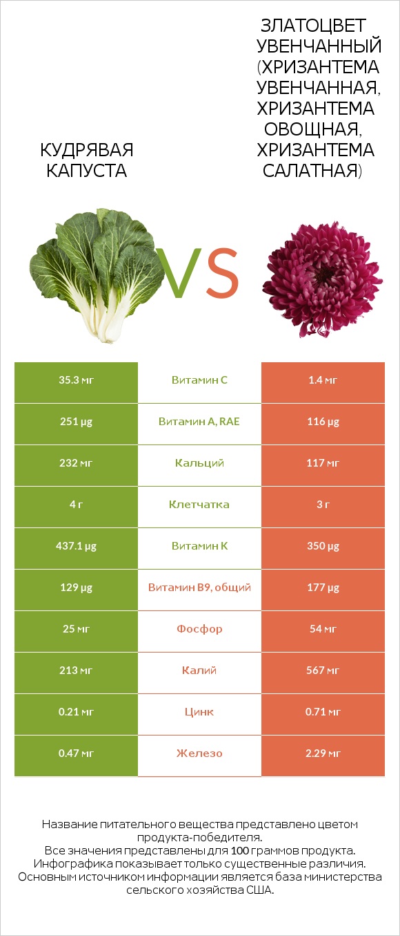 Кудрявая капуста vs Златоцвет увенчанный (хризантема увенчанная, хризантема овощная, хризантема салатная) infographic