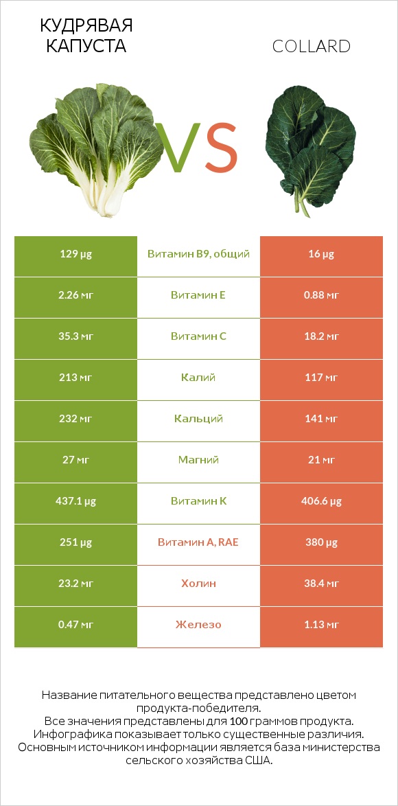 Кудрявая капуста vs Коллард (капуста листовая) infographic