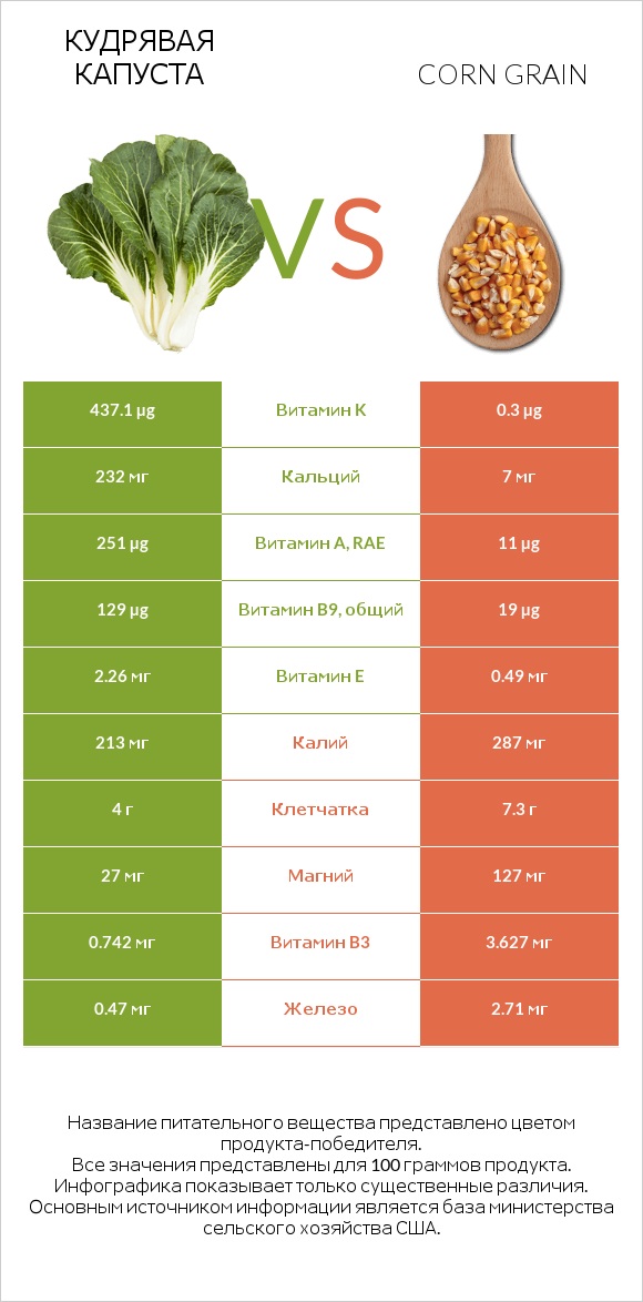 Кудрявая капуста vs Corn grain infographic