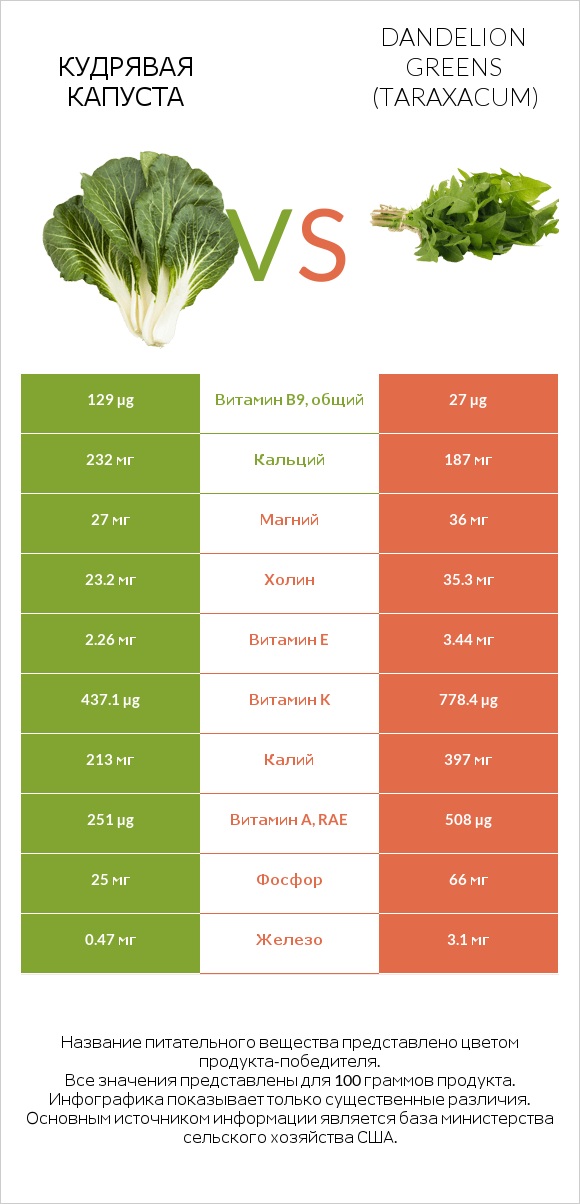 Кудрявая капуста vs Листья одуванчика infographic