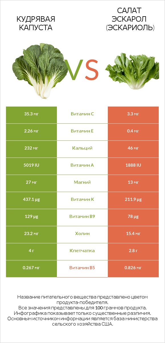 Кудрявая капуста vs Салат Эскарол (эскариоль) infographic