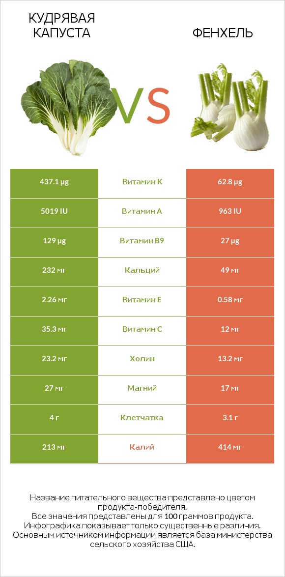 Кудрявая капуста vs Фенхель infographic