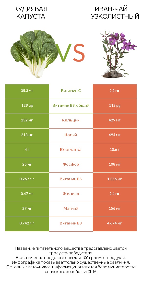 Кудрявая капуста vs Иван-чай узколистный infographic