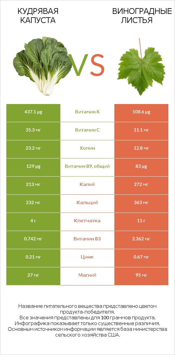 Кудрявая капуста vs Виноградные листья infographic