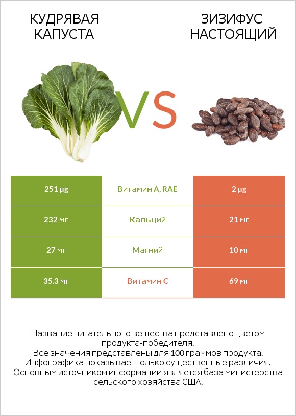 Кудрявая капуста vs Зизифус настоящий infographic