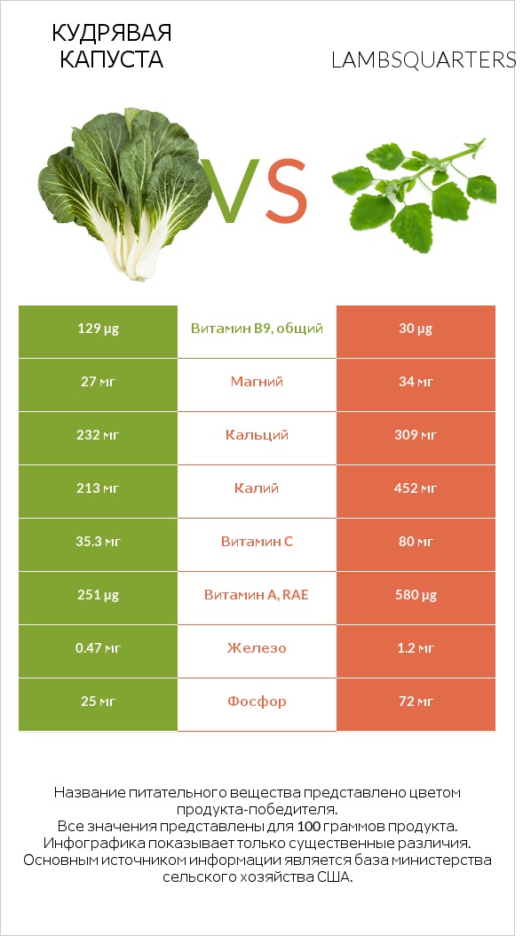 Кудрявая капуста vs Марь белая (Марь обыкновенная) или Листья мари белой infographic