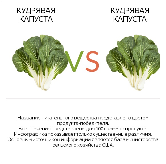 Кудрявая капуста vs Кудрявая капуста infographic