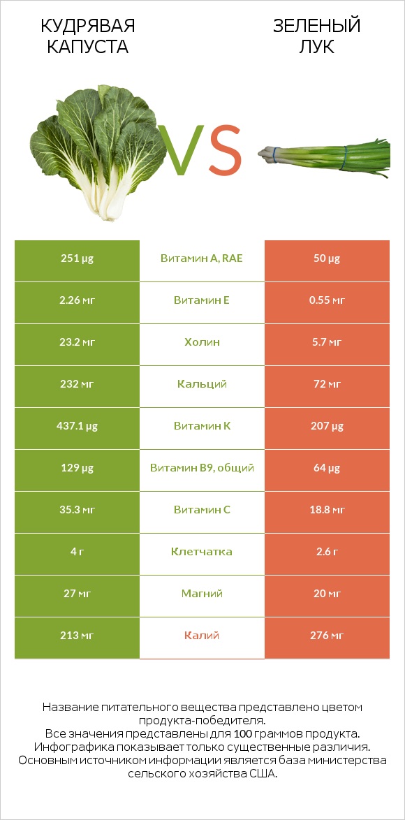 Кудрявая капуста vs Зеленый лук infographic