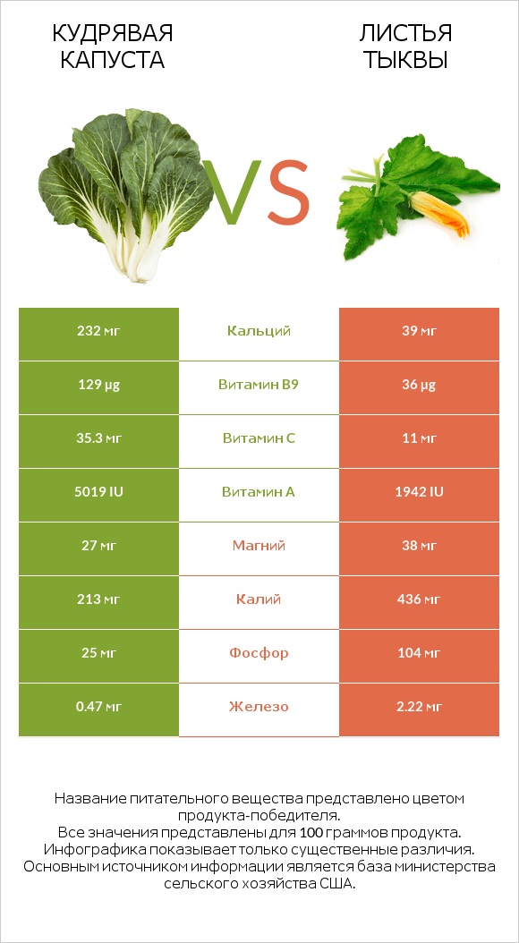 Кудрявая капуста vs Листья тыквы infographic