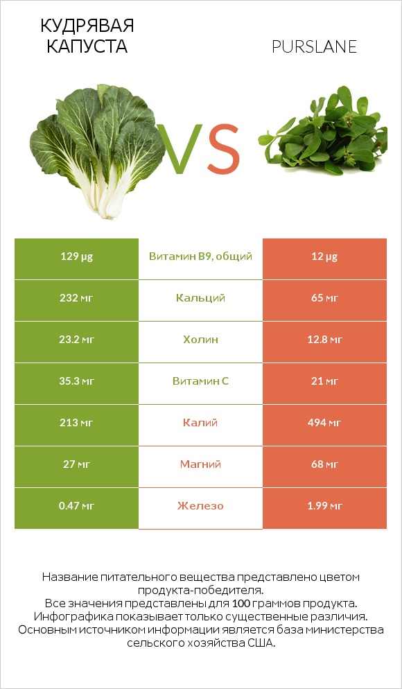 Кудрявая капуста vs Портулак огородный infographic