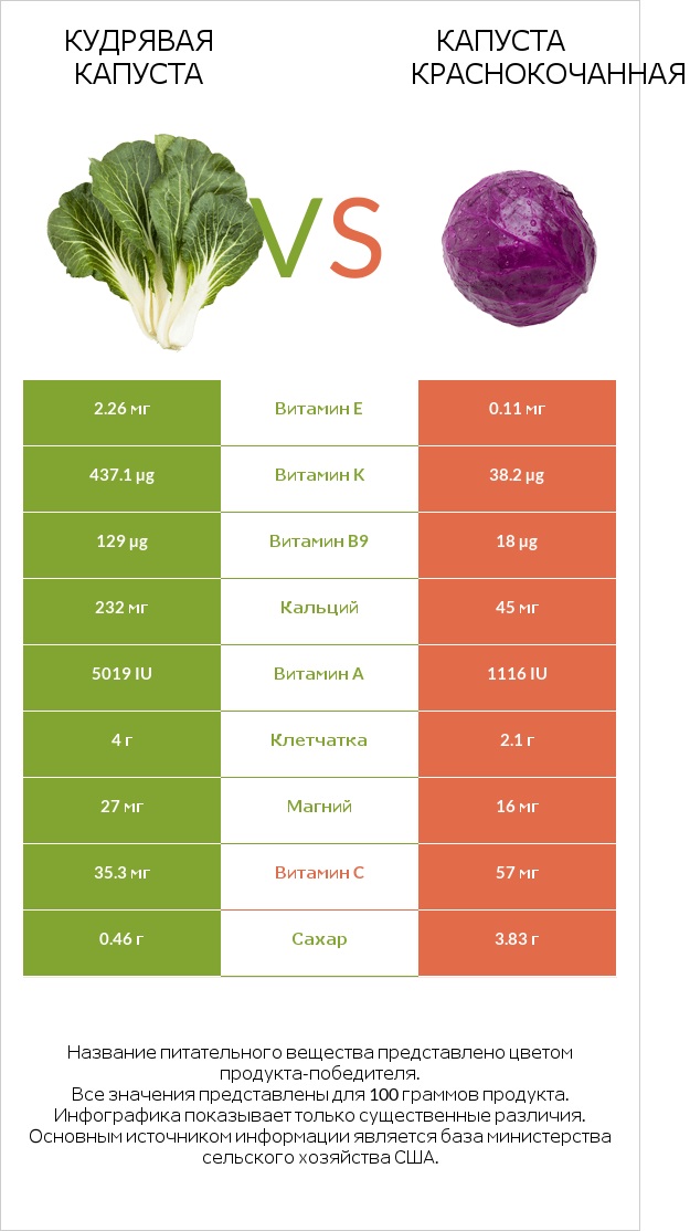 Кудрявая капуста vs Капуста краснокочанная infographic