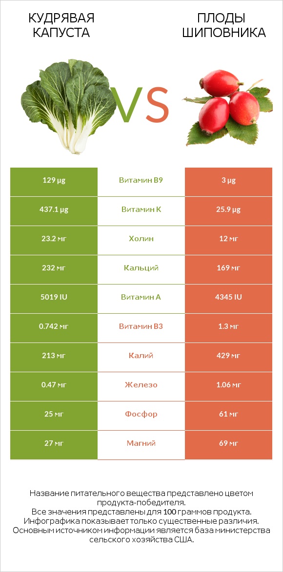 Кудрявая капуста vs Плоды шиповника infographic