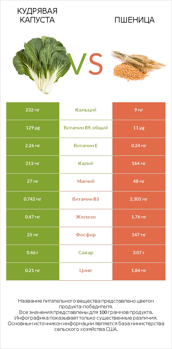 Кудрявая капуста vs Пшеница infographic