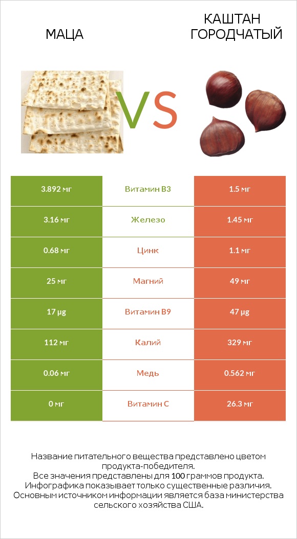 Маца vs Каштан городчатый infographic