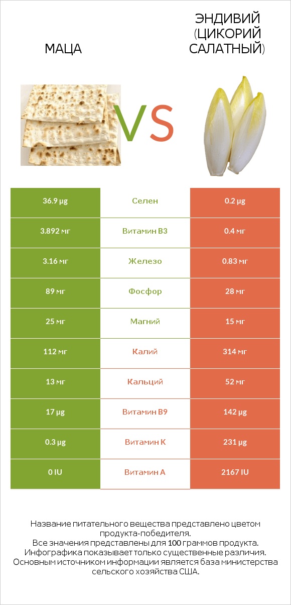 Маца vs Эндивий (Цикорий салатный)  infographic