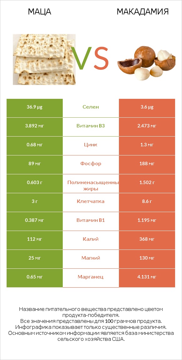Маца vs Макадамия infographic