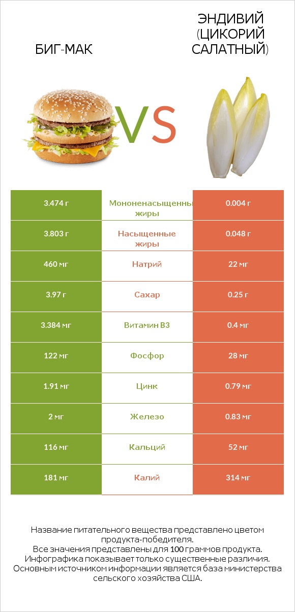 Биг-Мак vs Эндивий (Цикорий салатный)  infographic