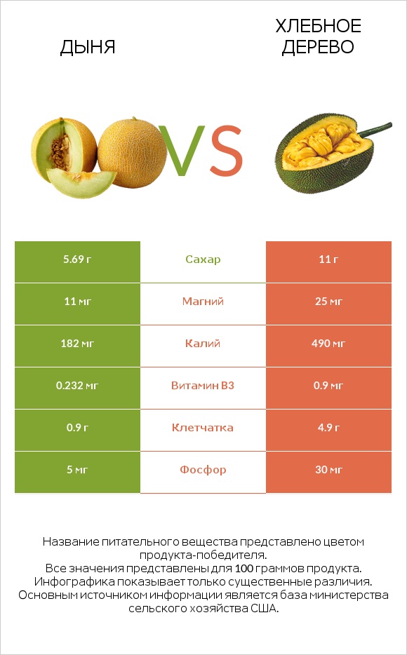 Дыня vs Хлебное дерево infographic