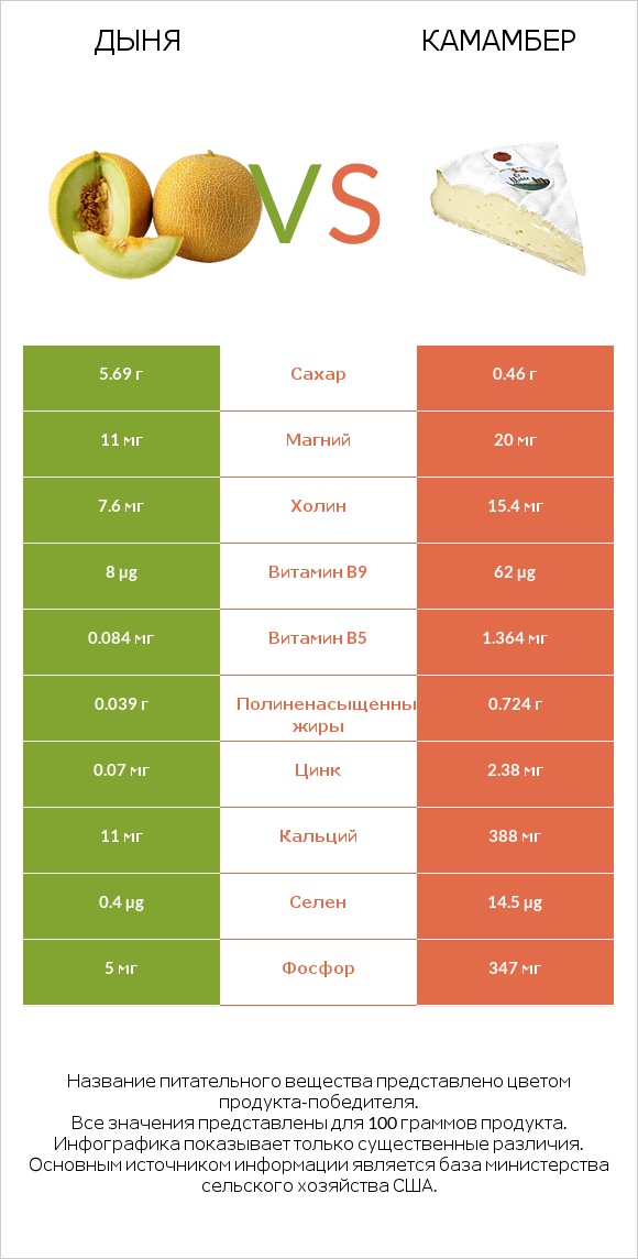 Дыня vs Камамбер infographic