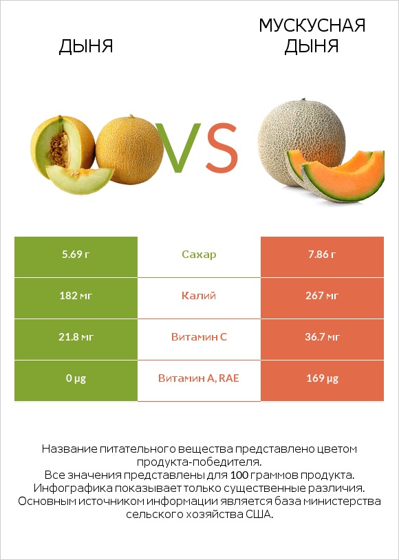 Дыня vs Мускусная дыня infographic